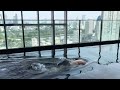 Dolphin kick 25m
