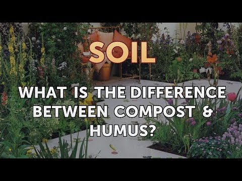 What Is the Difference Between Compost & Humus?