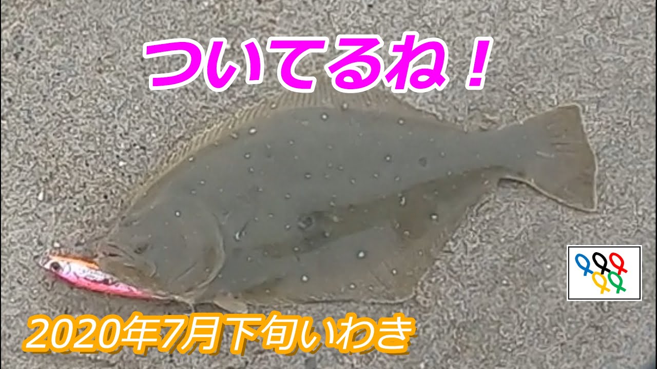 年7月下旬いわきサーフ ヒラメ マゴチ爆釣 モンスターショット炸裂2 Youtube 年7月下旬いわきサーフ ヒラメ マゴチ爆釣 モンスターショット炸裂2 Youtube