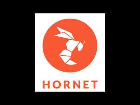 HORNET NOTIFICATION #gayapp #gay