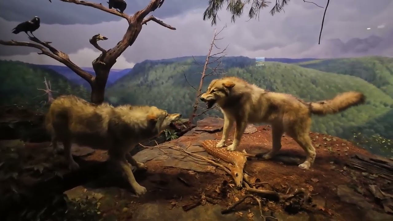 The State Museum of Pennsylvania Tour