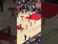 Chicago Bulls cheerleaders