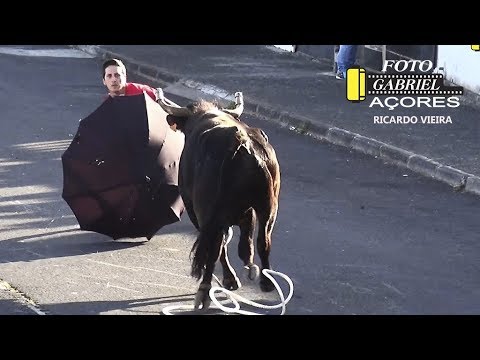 Tourada à corda, ilha Terceira, 2018