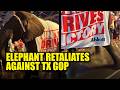 WATCH: Elephant Retaliates Against Republican Convention, Answers Nature's Call