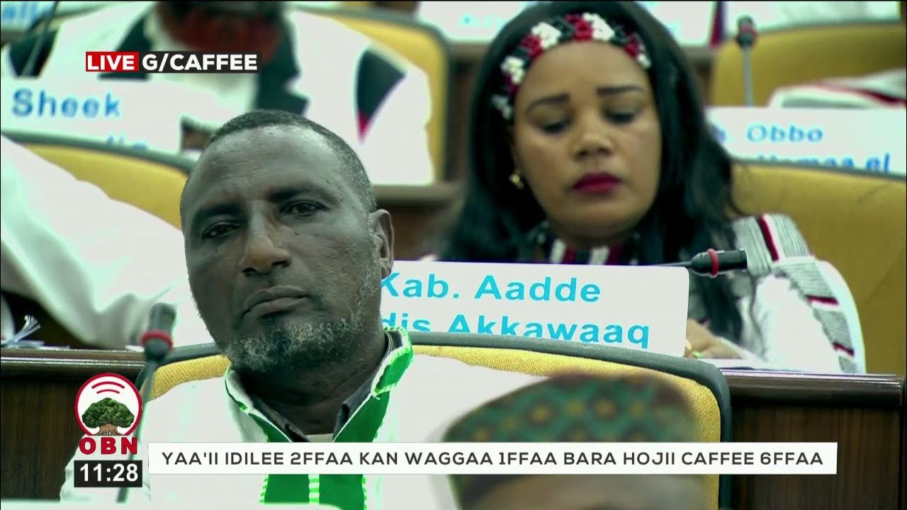 Obbo Fiqaaduu Tasammaa Bakka Buaa Mootummaa Caffee Oromiyaatti Youtube