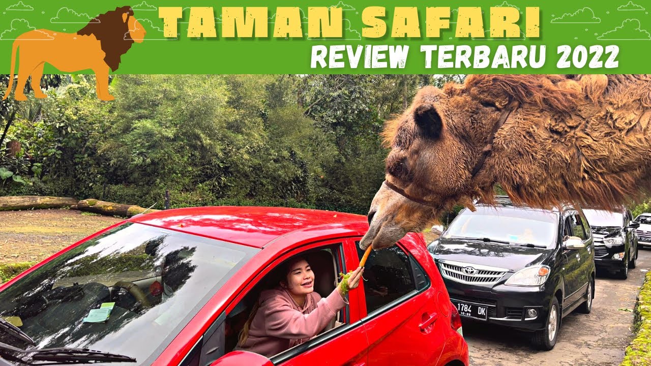 TAMAN SAFARI BOGOR 2022 | Review Terbaru Taman Safari 2022