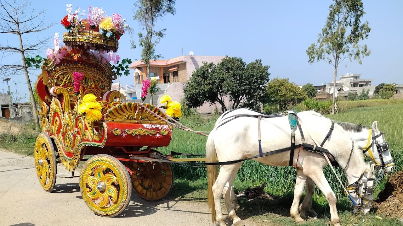 Babulal baggi joya Sahi barat