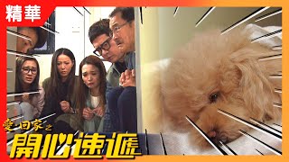 愛回家之開心速遞精華 | 我們與啤啤說再見