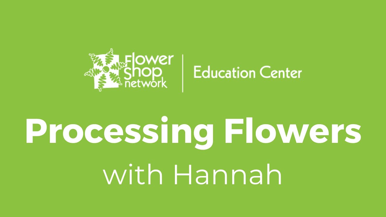 Prepping Flowers with Hannah