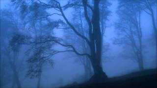 Miniatura del video "Richard Wagner -Parsifal- Prelude"