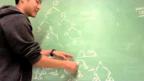 Splay Trees - Data Structures in 5 Minutes