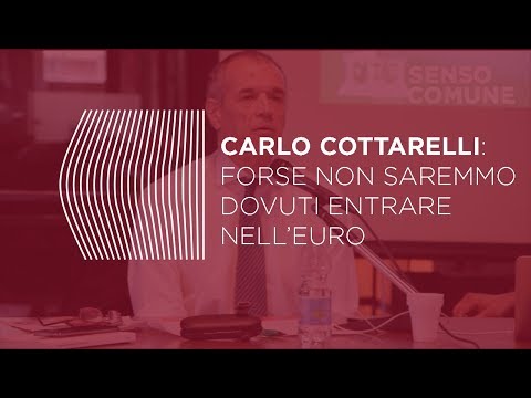 Cottarelli: forse non saremmo dovuti entrare nell&#039;Euro