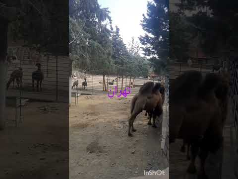 تهران جاهای دیدنی تهران دوست داشتنی