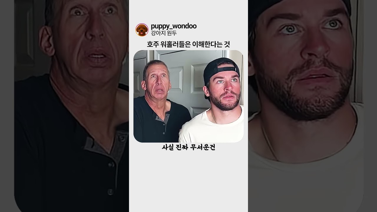 호주 위홀러들은 이해한다는 것