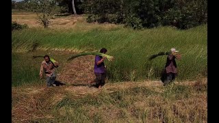 Straw mat - medium video