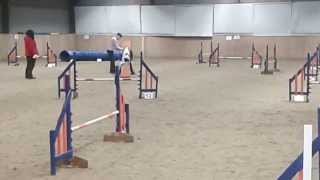 Agility Addicts 07-02-15 - Elementary agility