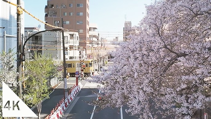 Ichihara