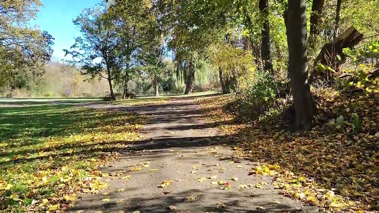 Walking On A Windy Day At Kiwanis Park In London Ontario