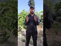 @qurani-jannati @SaudiChannelOne @qurani-jannati