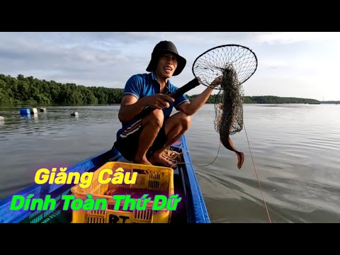 Video Giăng Câu Cá Ngát Cá Út Ngày Nước Kém | Gia Đình Cần... - youtube