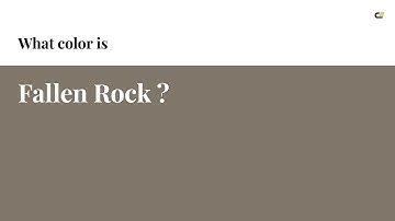 Fallen Rock color #807669 hex color - Yellow color - Cool color 807669