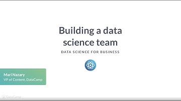 Theory: Building a data science team