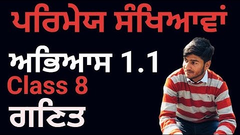 Class 8, Mathematics, Exercise 1.1, ਪਰਿਮੇਯ ਸੰਖਿਆਵਾਂ, Rational Numbers