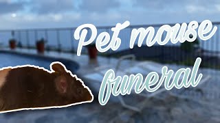 Pet Mouse Funeral