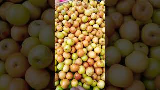 ফল চবদমSong