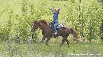 Chics Fancy Pine - trail riding! - ValleyViewRanch.net