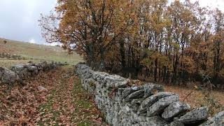 Santa María de la Alameda a Robledondo con Montaña Libre