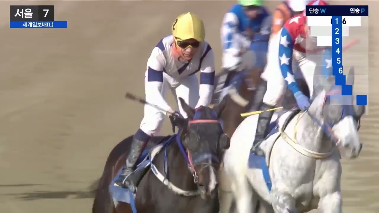 2/15 서울경마장 제24회 세계일보배(L) 조인권 기수의 스피드영 우승