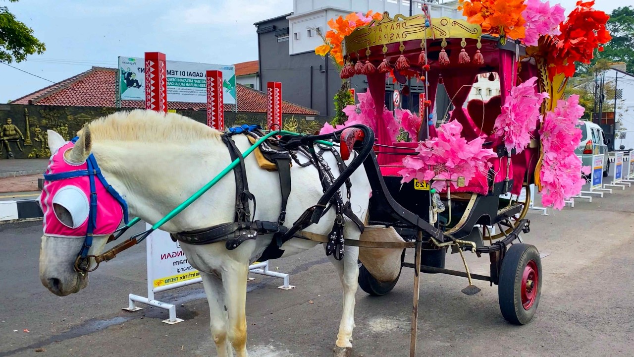 NAIK KUDA DELMAN ~ ONDEL ONDEL ~ BADUT JOGET ~ LAGU NAIK DELMAN ISTIMEWA MIDLEY SATU DI TAMBAH SATU