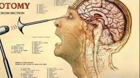 Full Stop Punctuation