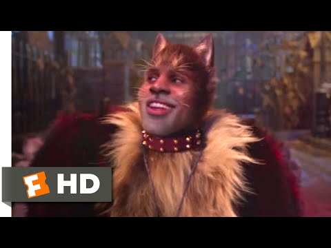 Vidéo: Jason Derulo Parle Des Chats Et Du Manteau De Fourrure De Rum Tum Tugger