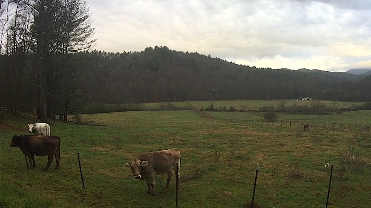 Grassy Mountain Timelapses