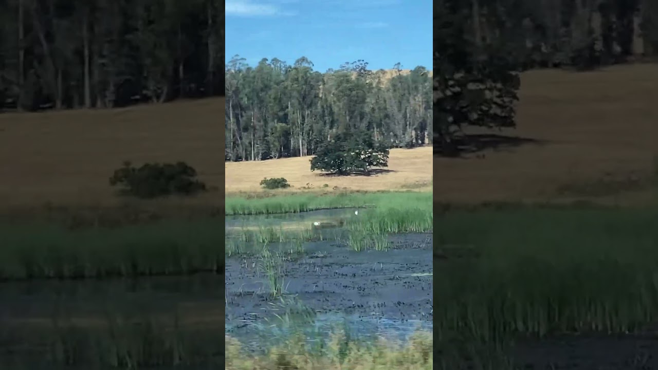 Natural beauty of Petaluma California