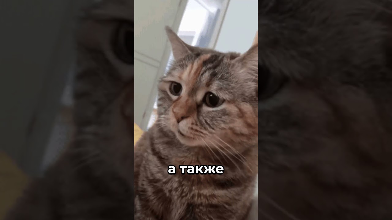 😱 БОТЫ АТАКУЮТ ROBLOX 