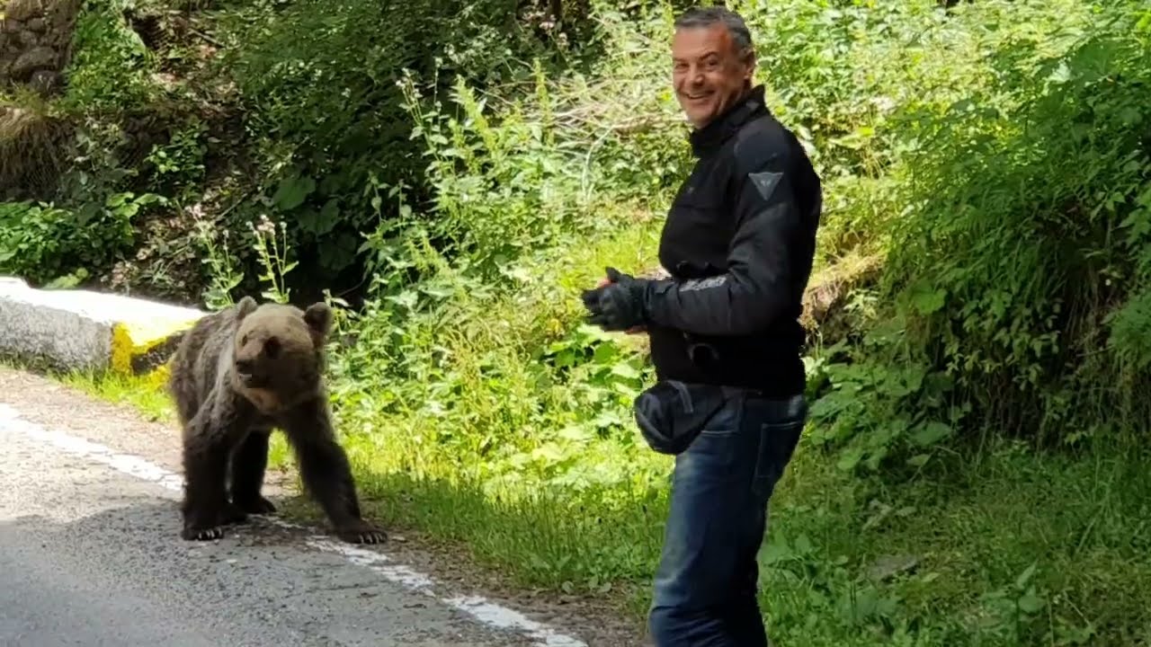 ΝΥΜΦΑΙΟ από άσφαλτο, ΠΙΕΡΙΑ ΟΡΗ - ΕΛΑΤΟΧΩΡΙ από χώμα, BMW R1250GS, HONDA CRF1000  Nik Adv Rider