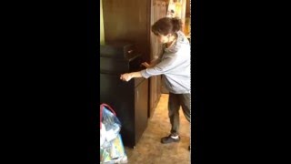 Famous Hidden Kitchen Garbage Bin Profile