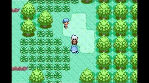 POKEMON RUBY ASM - FOLLOW ME v.1.3 (WIP)