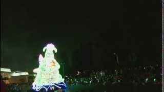 東京ディズニーランド・エレクトリカルパレードドリームライツ 2014/0201 (1)