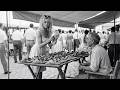 Nobody Stopped at His Market Table —Then Brigitte Bardot Walked Over Barefoot and Everything Changed