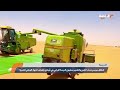انطلاق موسم حصاد القمح والشعير بمشروع الديسة الزراعي في أوباري بإشراف الجهاز الوطني للتنمية