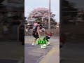 He took no disrespect in the most dangerous place 🏀 #basketball | @mkiatipis