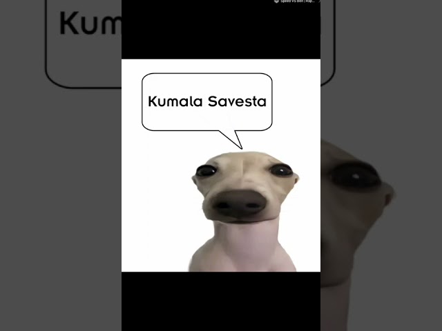 Kumalala Kumalala Kumalala Savesta meme#kumalala#savesta#memes#meme#shorts#short class=