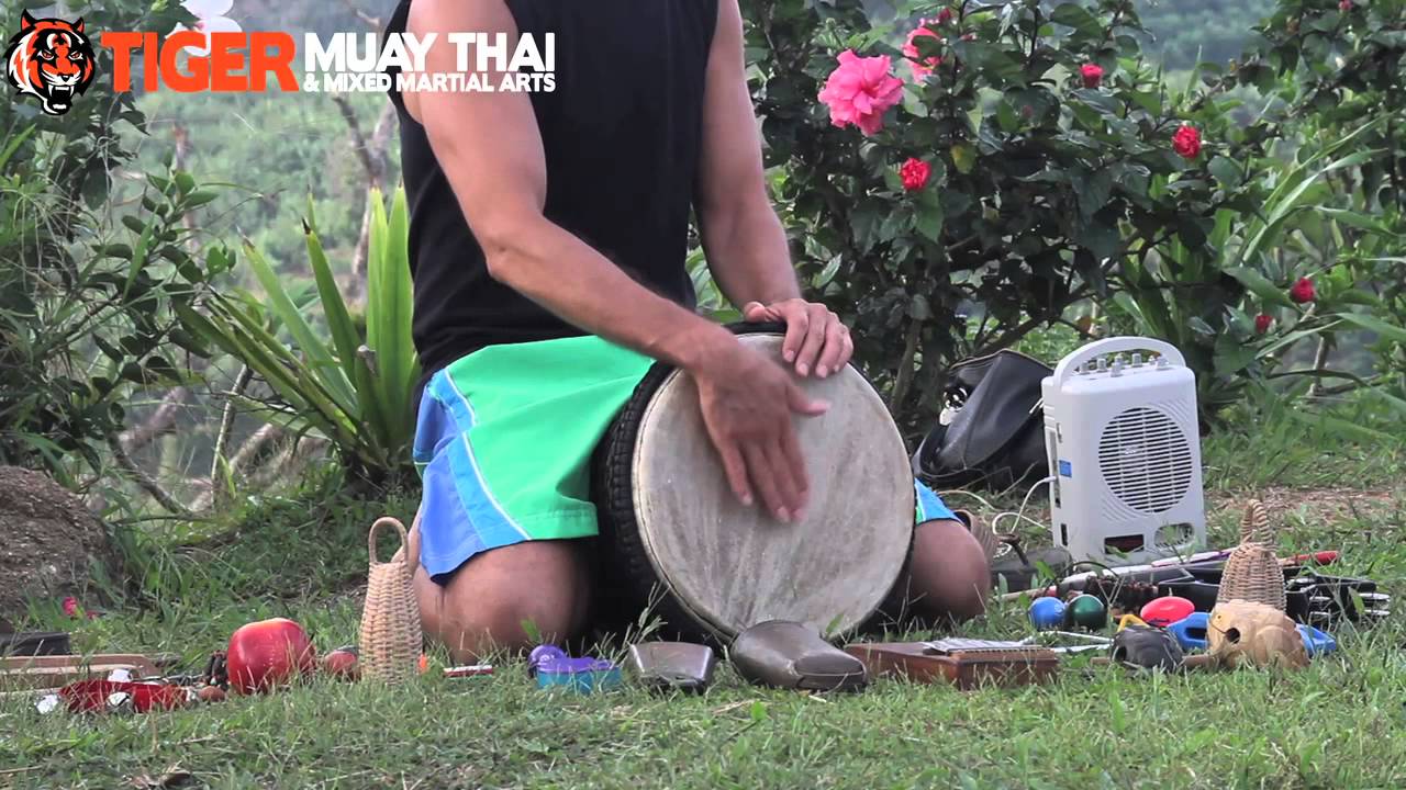 Tiger Muay Thai - Yoga Class muay thai martial artists