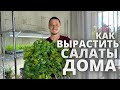 Салат  зелень на гидропонике установка своими руками за 30$ питательный раствор вырасти сам