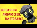 ✔️Я живу как положено… а положено у меня на всё. Анекдоты с Волком.#ВГостяхУВолка