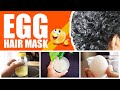 Egg Hair Mask For Dry Damaged Hair | Makes Hair Soft And Shiny | Promotes Hair Growth